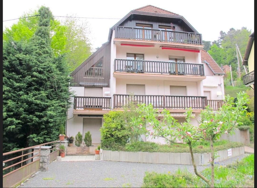 Studio Le Manet Lägenhet Le Hohwald Exteriör bild
